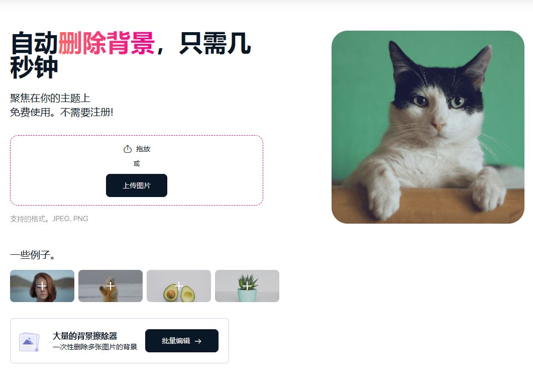 Background Eraser.JPG